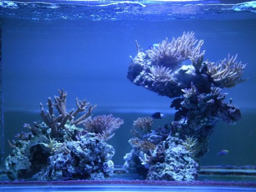 fts1.jpg