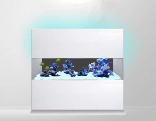 reef tank with back wall LED.jpg