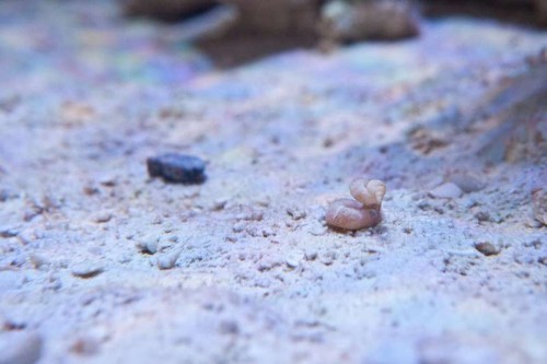 120719 Eget akvarium (7 of 10).jpg