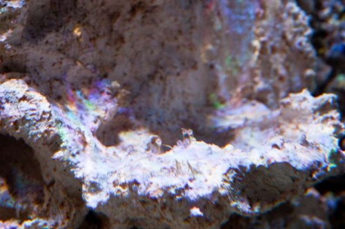 120719 Eget akvarium (4 of 10).jpg