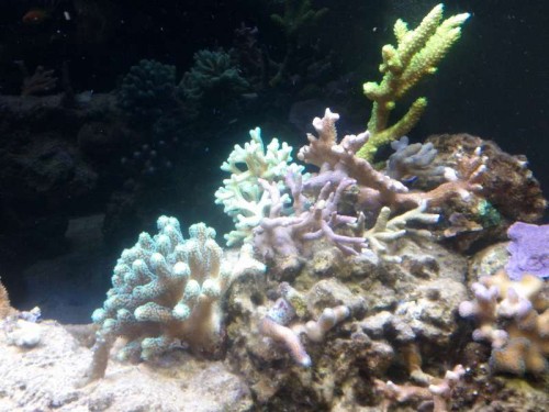 IMG_20120728_213540.jpg