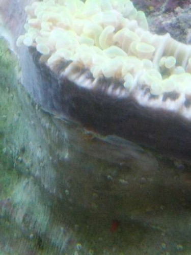 IMG_20120817_200056.jpg