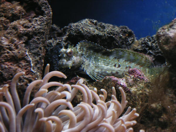 web_pict0018.jpg
