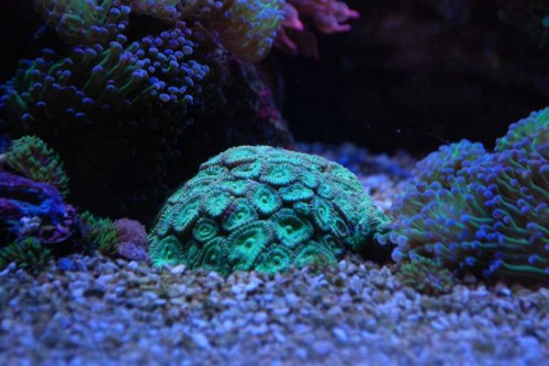 DSC_0407.JPG