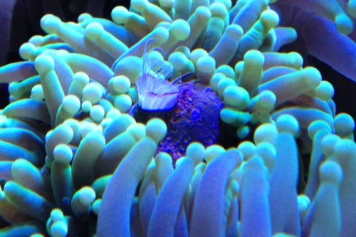okt 2012 039b.jpg