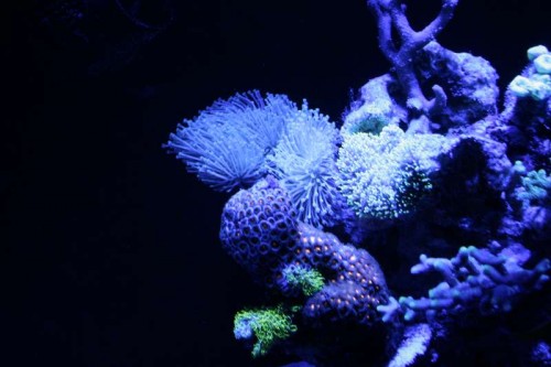 _MG_5992.JPG