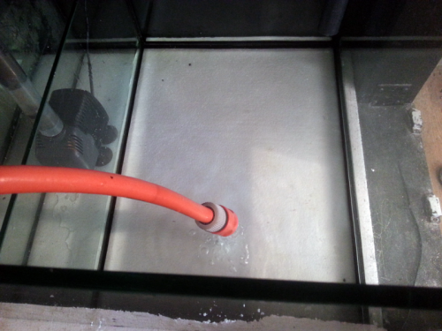 IMG_20121026_143509.png