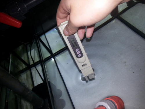 IMG_20121026_150521.png