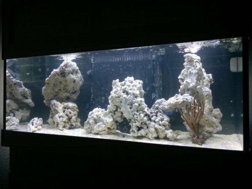 FTS 1