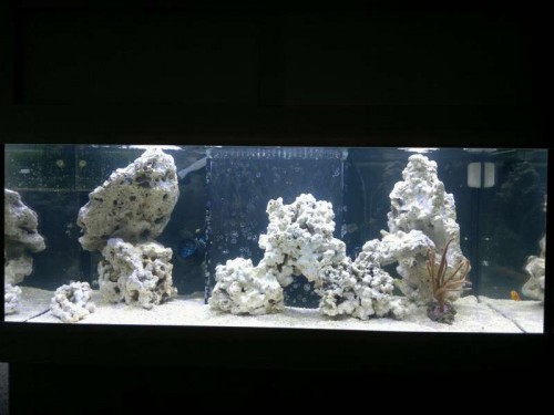FTS 2