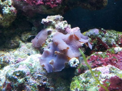 20121031_190054.jpg