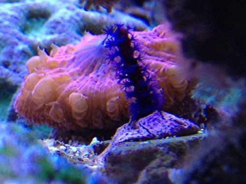 foto 1 (8).JPG
