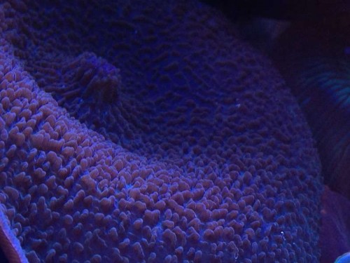 foto 3 (2).JPG