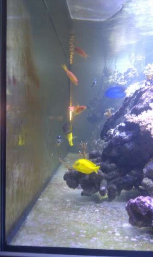 IMAG0698.jpg