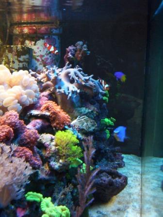 100_2570.jpg