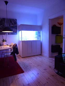 Og så lige akvariets nye placering
