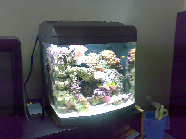 09032007033.jpg