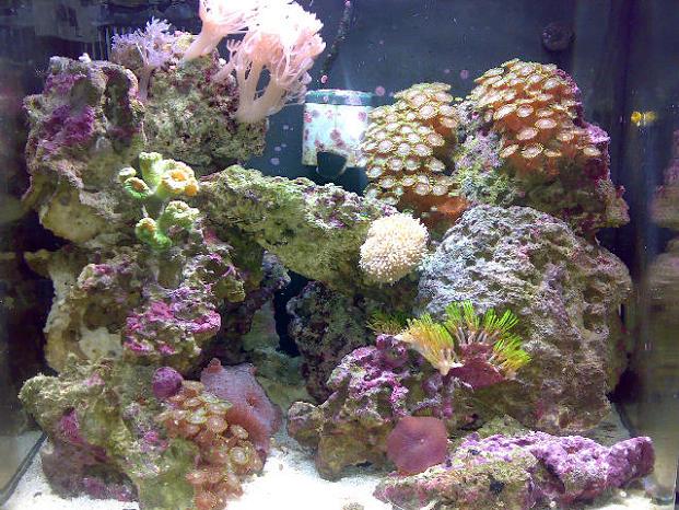 09032007031.jpg