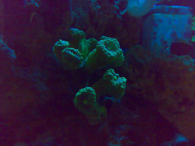 09032007054.jpg