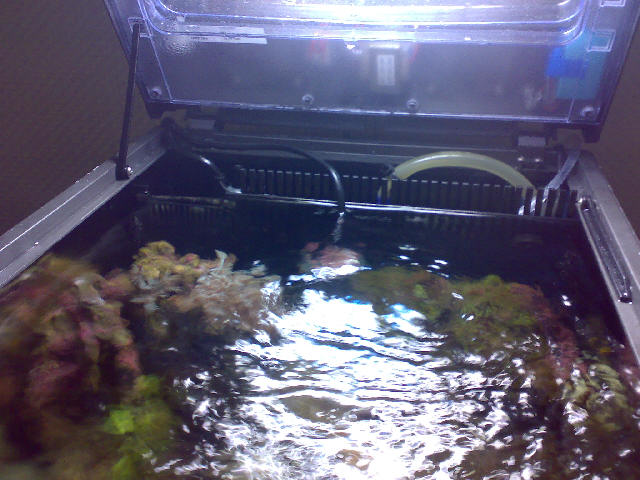 Overflade+sump