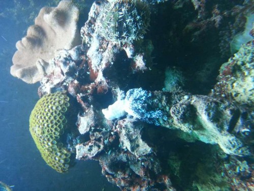 20121114_221021.jpg