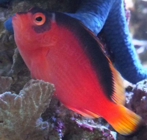 nov 2012 048.jpg