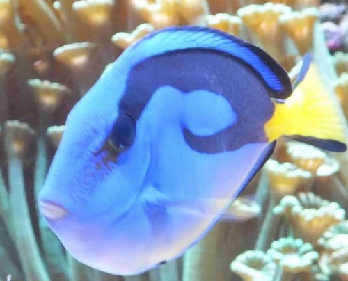 nov 2012 108.jpg
