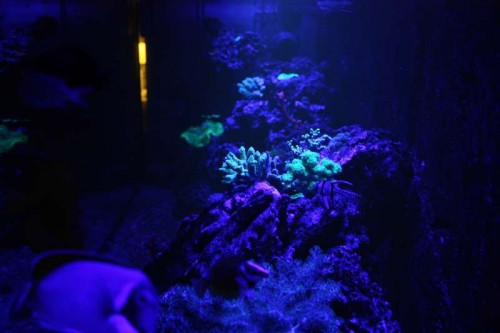 IMG_9372.JPG
