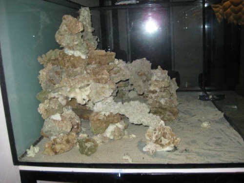 IMG_3732.JPG