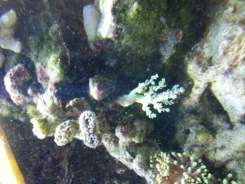 20121204_133220.jpg