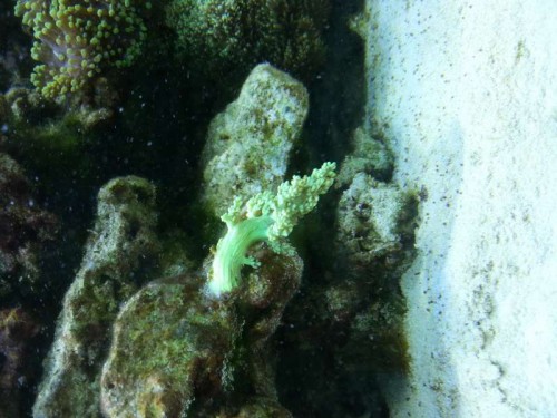 20121204_132557.jpg