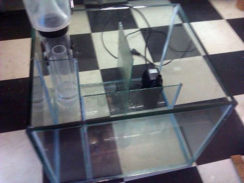 IMAG0914.jpg