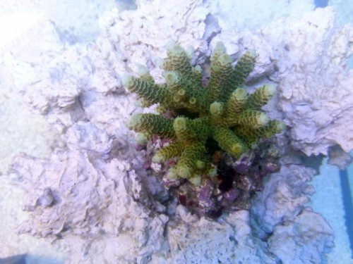 IMG_20121206_112359.jpg
