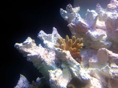 IMG_20121206_185608.jpg