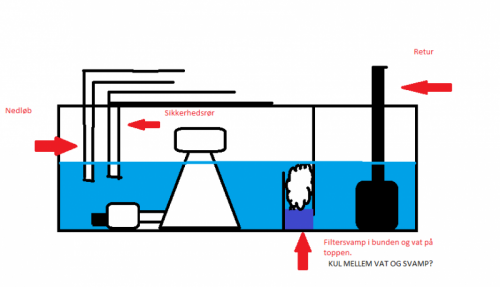 ny sump.png