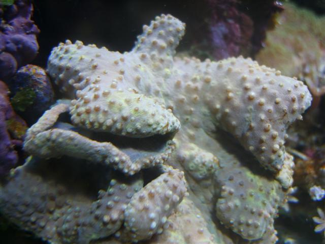 2 (Small).JPG