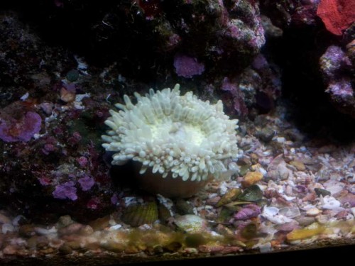 20130104_164448.jpg