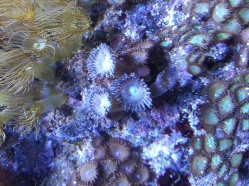 20130106_171046.jpg