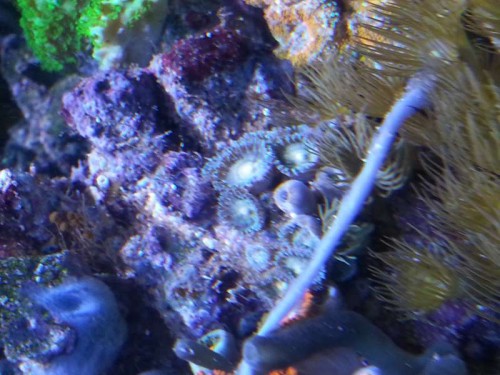 20130106_171135.jpg