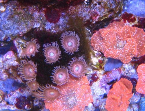 foto2.JPG