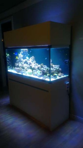 IMAG0641.jpg