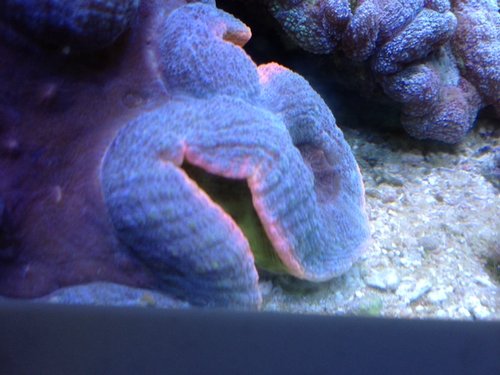foto3.JPG
