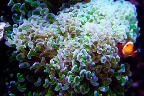 1 marts (41 of 44).jpg