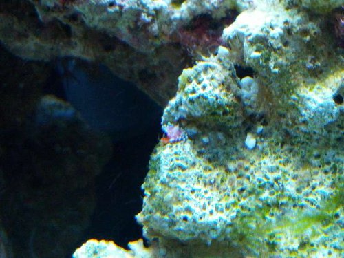 IMG_20130305_124056.jpg