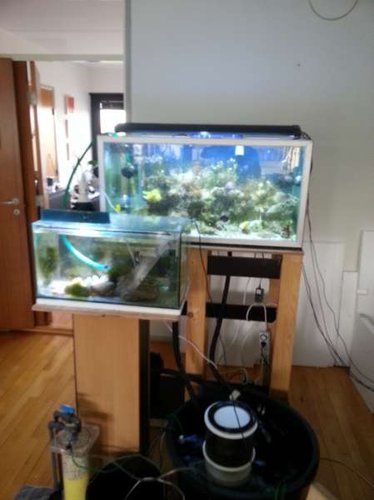 Midlertidig setup (det nye skal selvfølgelig står hvor det gamle stod. :-(