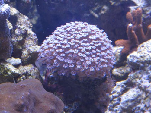 IMG_1090.JPG