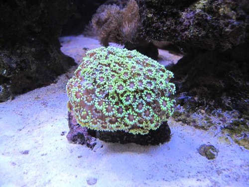 IMG_1093.JPG