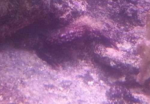 20130410_194317-1.jpg