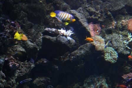 IMG_5461.JPG