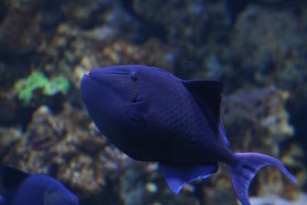 IMG_5494.JPG